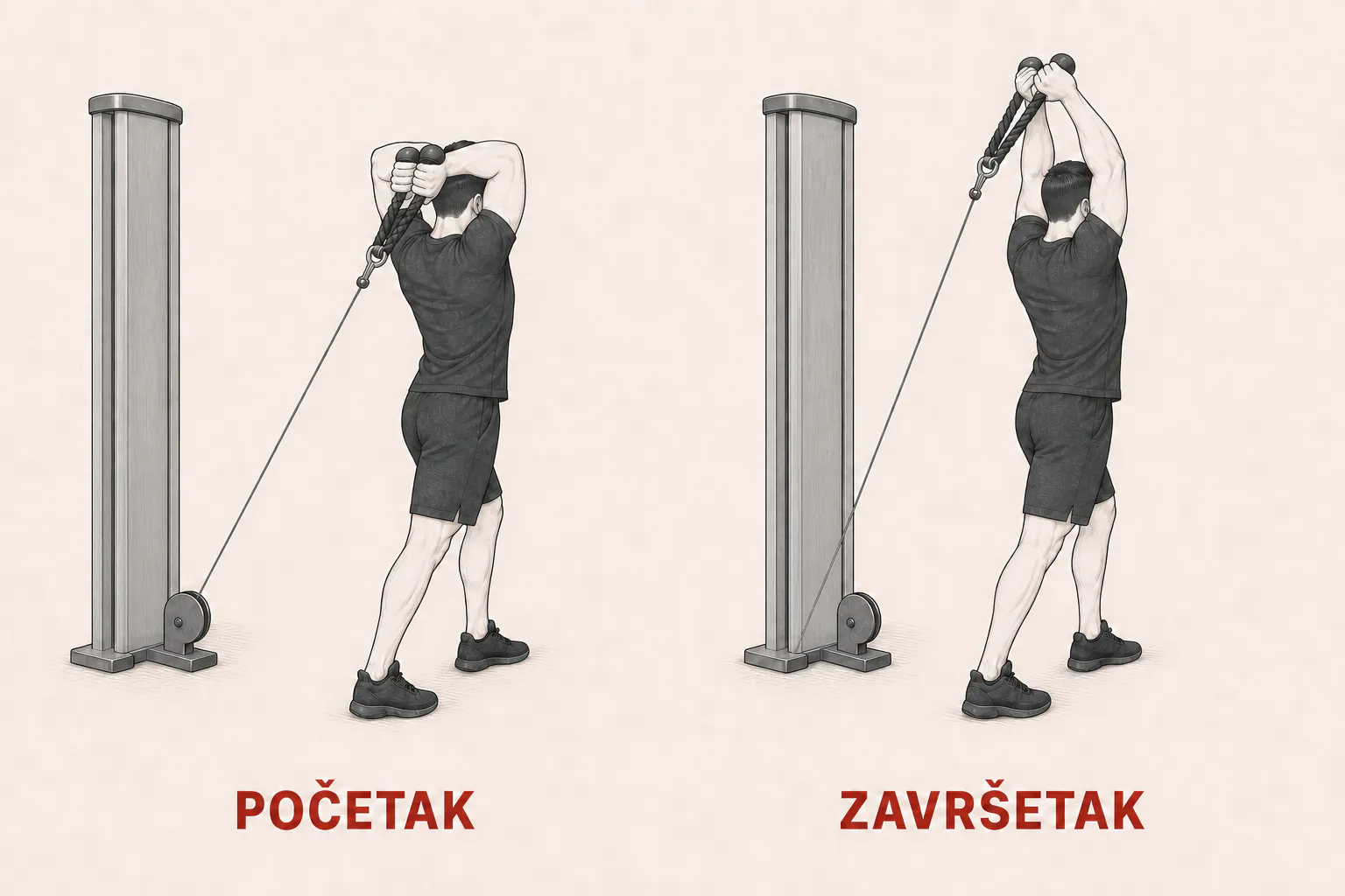 Opružanje iznad glave na sajli tutorial